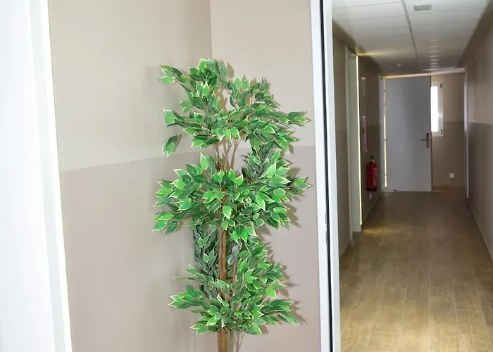 Rey Don Sancho Zamora