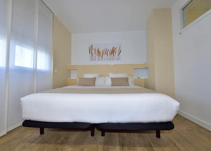 Rey Don Sancho Zamora