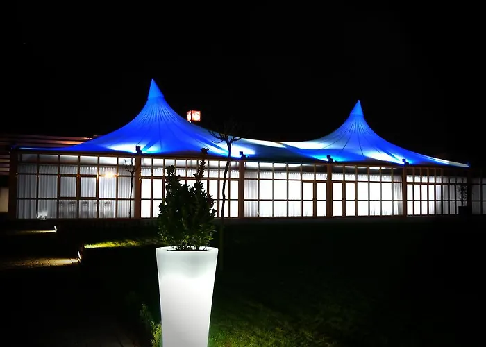 Rey Don Sancho Zamora