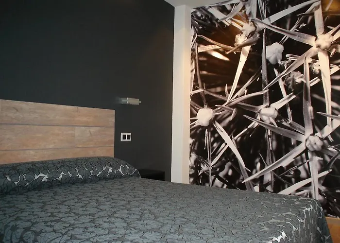 Rey Don Sancho Zamora